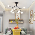 Simple Decorative Glass ball black metal Chandelier Hanging Pendant Lamp